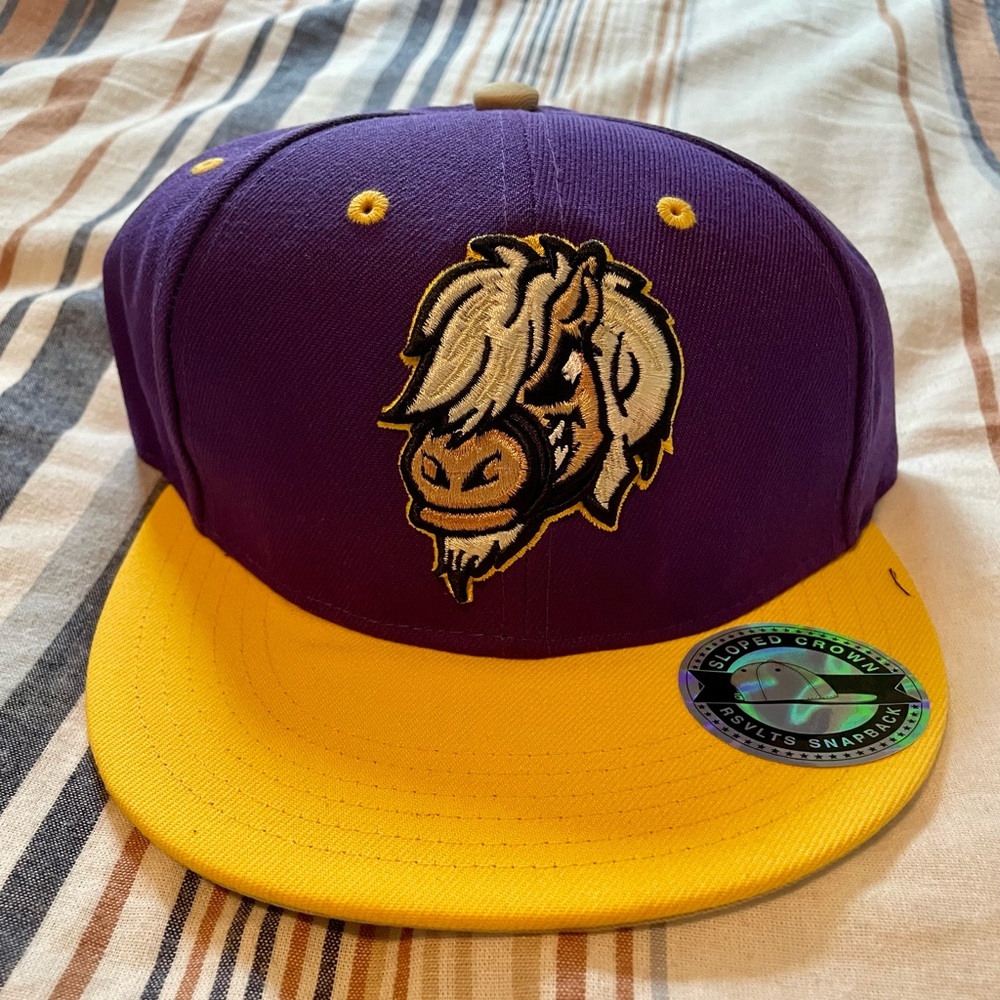 RSVLTS Pawnee Mini Horses Snap-back